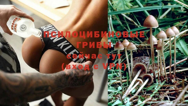 каннабис Арсеньев